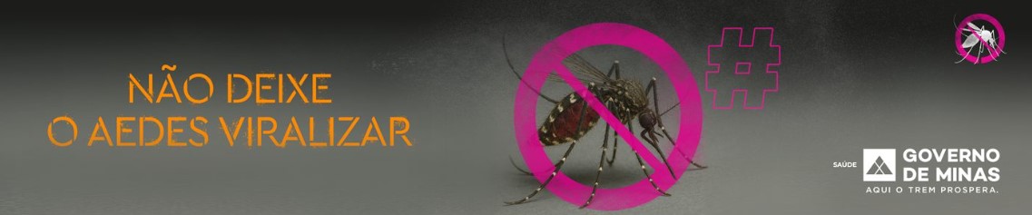 A importância da prevenção e da eliminação de criadouros do Aedes: